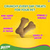 Pedigree Milk And Chicken Flavour Biscrok Biscuits Dog Treats